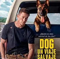 Poster Dog Un Viaje Salvaje Prime Video Película 2022